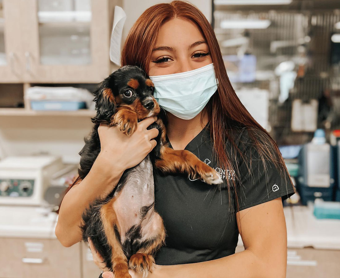 Veterinarian In Las Vegas, NV Town Center Animal Hospital
