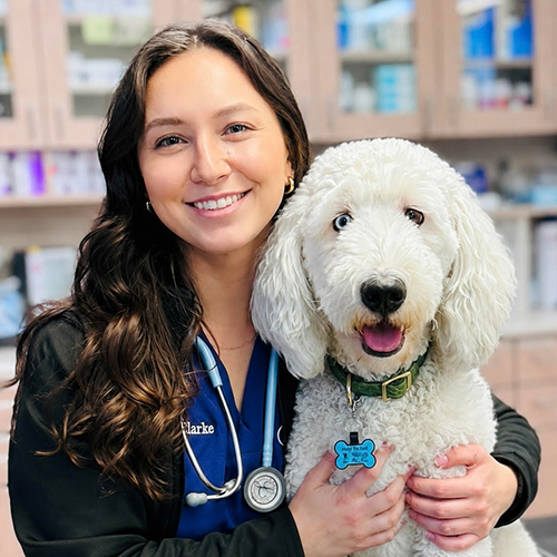 Dr. Jayme Clarke