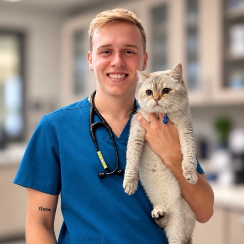 Dr. Lucas Veillon