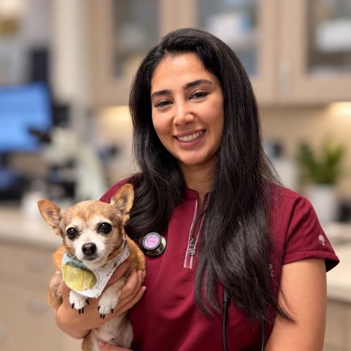 Dr. Shakila Gerami